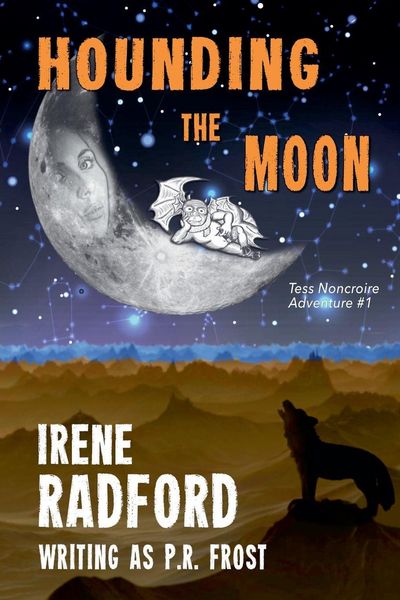 Produktbild: Hounding the Moon
