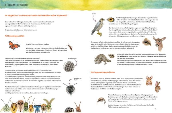 Produktbild: Erlebe den Wald mit allen Sinnen