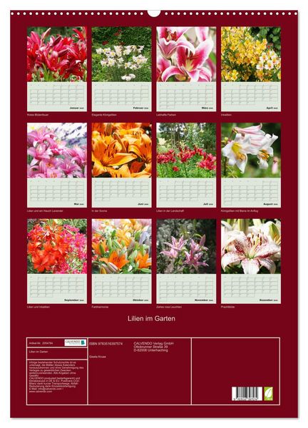 Produktbild: Lilien im Garten (Wandkalender 2026 DIN A2 hoch), CALVENDO Monatskalender