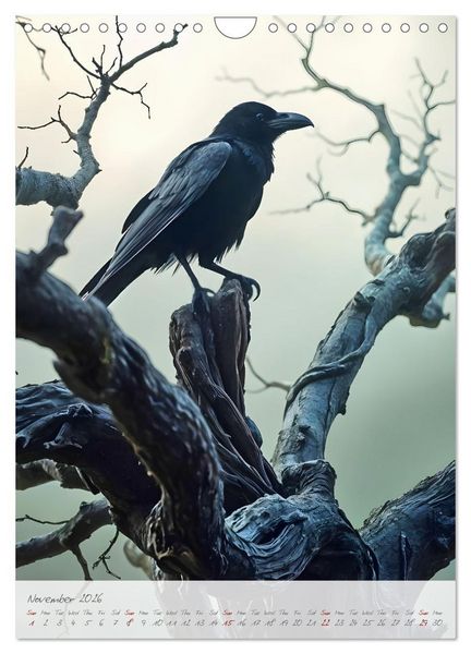 Produktbild: Nocturnal wings - A mystic raven companion for the year (Wall Calendar 2026 DIN A4 portrait), CALVENDO 12 Month Wall Calendar