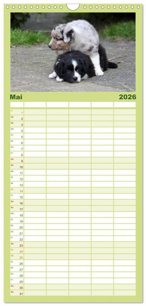 Produktbild: Familienplaner 2026 - Der Hundewelpen-Geburtstagskalender mit 5 Spalten (Wandkalender, 21 x 45 cm) CALVENDO