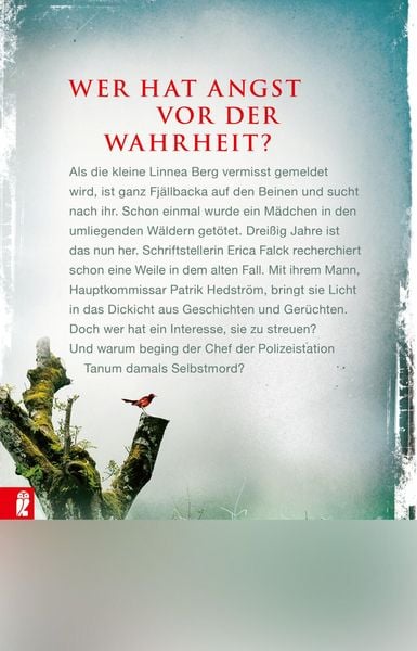 Produktbild: Die Eishexe
