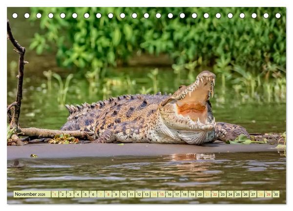 Produktbild: Urzeitreptilien - Krokodil (Tischkalender 2026 DIN A5 quer), CALVENDO Monatskalender