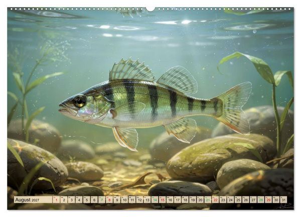 Produktbild: Barsche im See (Wandkalender 2027 DIN A2 quer), CALVENDO Monatskalender