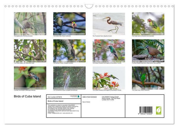 Produktbild: Birds of Cuba Island (Wall Calendar 2026 DIN A3 landscape), CALVENDO 12 Month Wall Calendar