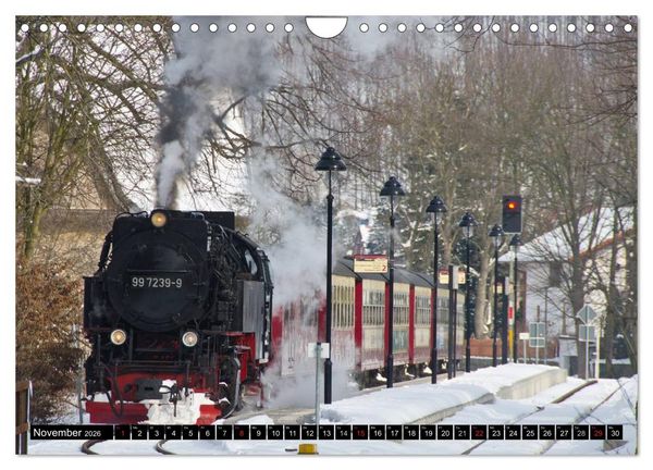 Produktbild: Schmalspurbahnen in Sachsen Anhalt (Wandkalender 2026 DIN A4 quer), CALVENDO Monatskalender