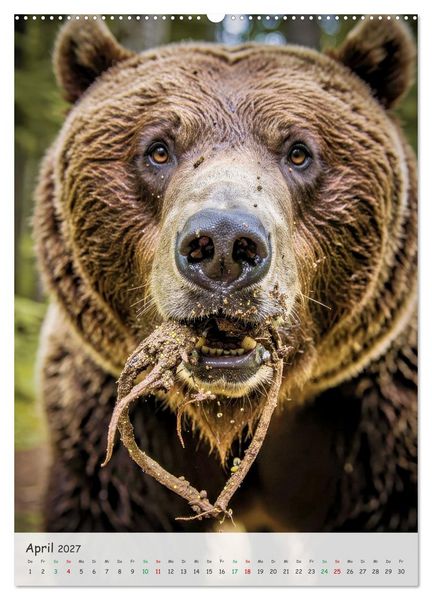Produktbild: Grizzlyb&auml;ren und Lachse (Wandkalender 2027 DIN A2 hoch), CALVENDO Monatskalender