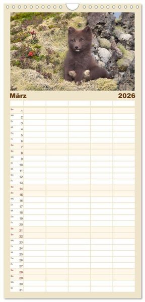 Produktbild: Familienplaner 2026 - Polarfuchs-Welpen mit 5 Spalten (Wandkalender, 21 x 45 cm) CALVENDO