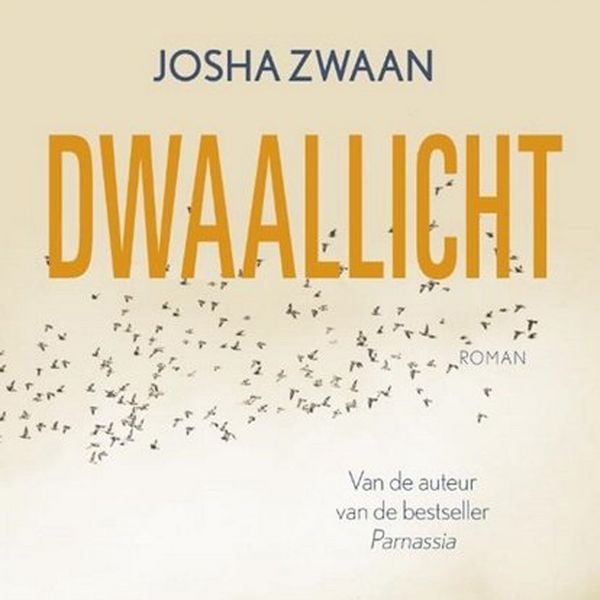 Produktbild: Dwaallicht