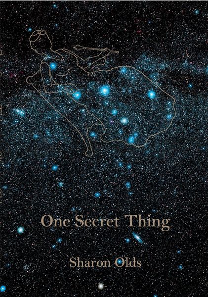 Produktbild: One Secret Thing