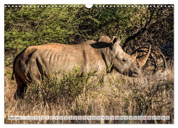 Produktbild: Abenteuerliches Namibia (Wandkalender 2026 DIN A3 quer), CALVENDO Monatskalender