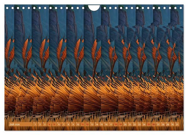 Produktbild: Magische Bilder - fantastische Stereogramme (Wandkalender 2026 DIN A4 quer), CALVENDO Monatskalender