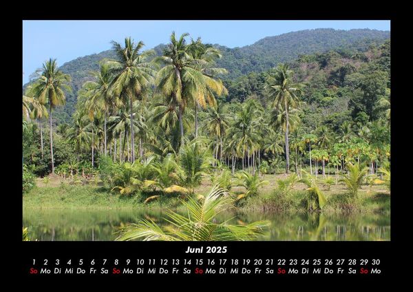 Produktbild: Palmentraum 2025 Fotokalender DIN A3