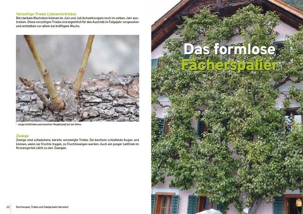 Produktbild: Spalierobst