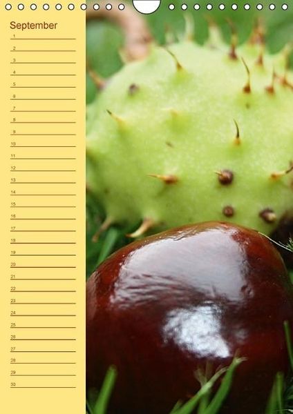 Produktbild: Der Geburtstagskalender (Wandkalender immerw&auml;hrend DIN A4 hoch)