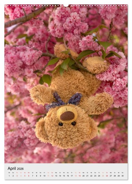 Produktbild: Travelling Teddy liebt es Bunt (Wandkalender 2026 DIN A2 hoch), CALVENDO Monatskalender