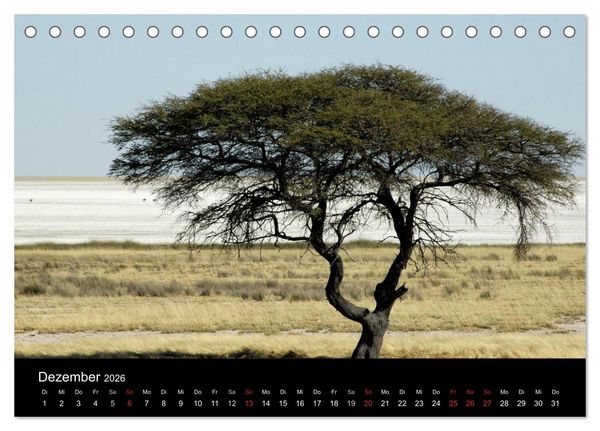 Produktbild: Afrika (Tischkalender 2026 DIN A5 quer), CALVENDO Monatskalender