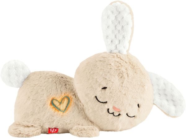 Produktbild: Fisher-Price Schlummer-H&auml;schen