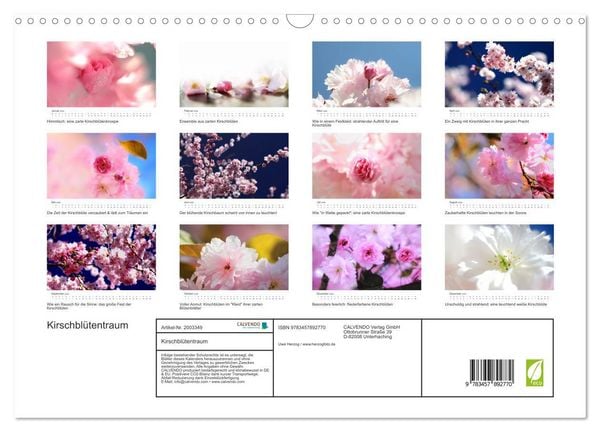 Produktbild: Kirschbl&uuml;tentraum (Wandkalender 2026 DIN A3 quer), CALVENDO Monatskalender