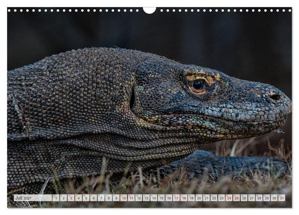 Produktbild: Drachen: Geheimnisvolles Tierreich (Wandkalender 2027 DIN A3 quer), CALVENDO Monatskalender