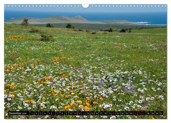 Produktbild: S&uuml;dafrika (Wandkalender 2026 DIN A3 quer), CALVENDO Monatskalender