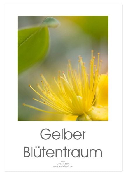 Produktbild: Gelber Bl&uuml;tentraum (Wandkalender 2026 DIN A2 hoch), CALVENDO Monatskalender