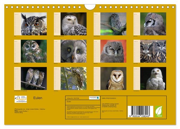 Produktbild: Eulen (Wandkalender 2026 DIN A4 quer), CALVENDO Monatskalender