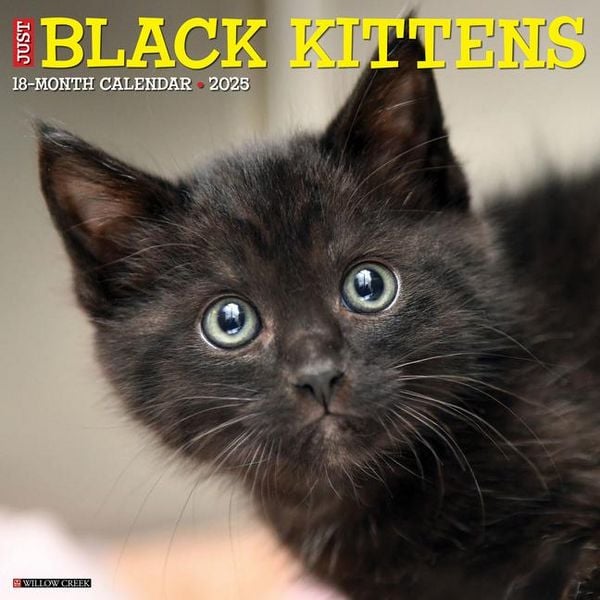 Produktbild: Black Kittens 2026 Wall Calendar