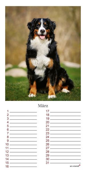 Produktbild: Geburtstagskalender Hunde