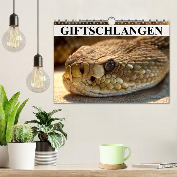 Produktbild: Giftschlangen (Wandkalender 2026 DIN A4 quer), CALVENDO Monatskalender
