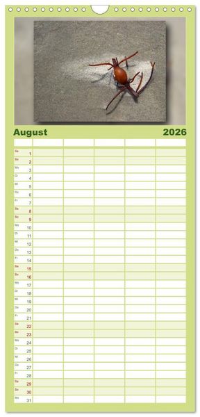 Produktbild: Familienplaner 2026 - Baltrum - Ein Tag am Strand mit 5 Spalten (Wandkalender, 21 x 45 cm) CALVENDO