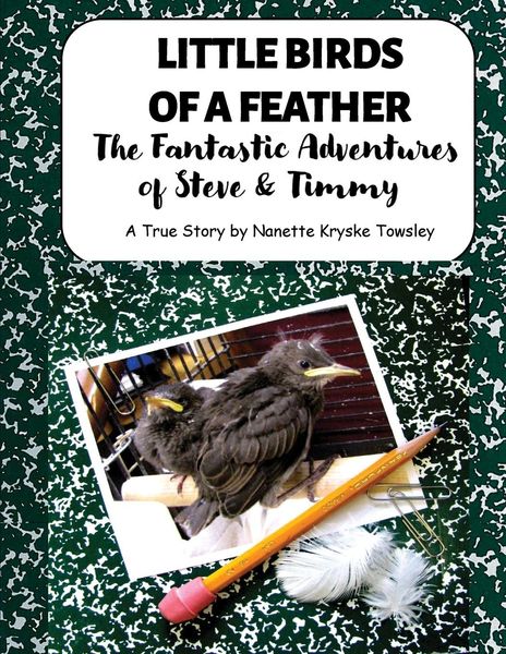 Produktbild: Little Birds of a Feather