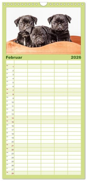 Produktbild: Familienplaner 2026 - M&ouml;pse mit 5 Spalten (Wandkalender, 21 x 45 cm) CALVENDO