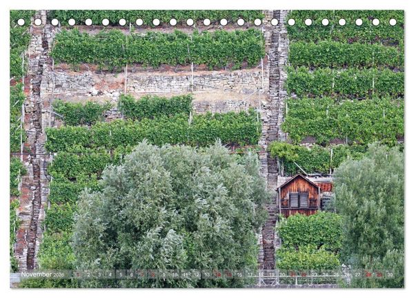Produktbild: Weinbergh&auml;uschen - Schutz- und Werkzeughaus f&uuml;r den Weing&auml;rtner (Tischkalender 2026 DIN A5 quer), CALVENDO Monatskalender