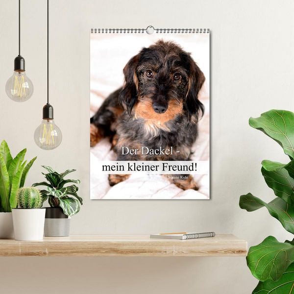 Produktbild: Der Dackel - mein kleiner Freund (Wandkalender 2026 DIN A3 hoch), CALVENDO Monatskalender