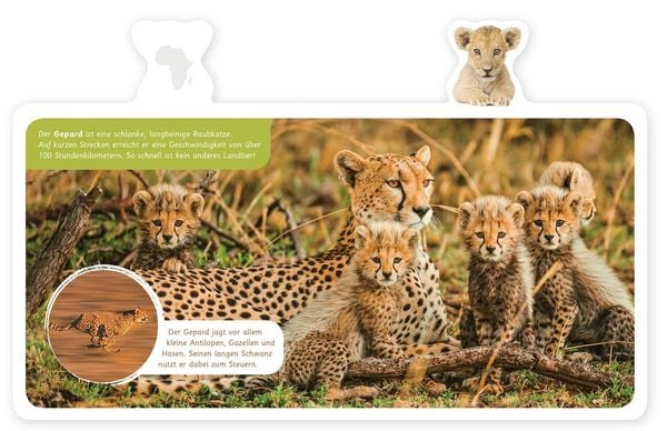 Produktbild: Tiere in Afrika