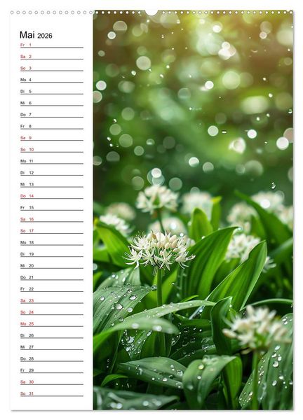Produktbild: Kr&auml;uterfrische (Wandkalender 2026 DIN A2 hoch), CALVENDO Monatskalender