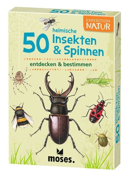 Produktbild: Expedition Natur - 50 heimische Insekten & Spinnen