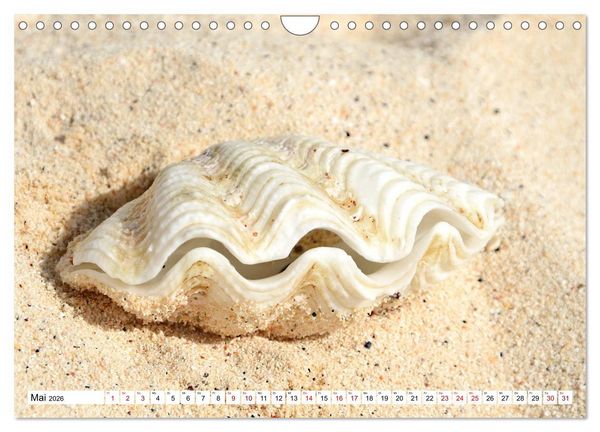 Produktbild: Rarotonga - Trauminsel im S&uuml;dpazifik. (Wandkalender 2026 DIN A4 quer), CALVENDO Monatskalender