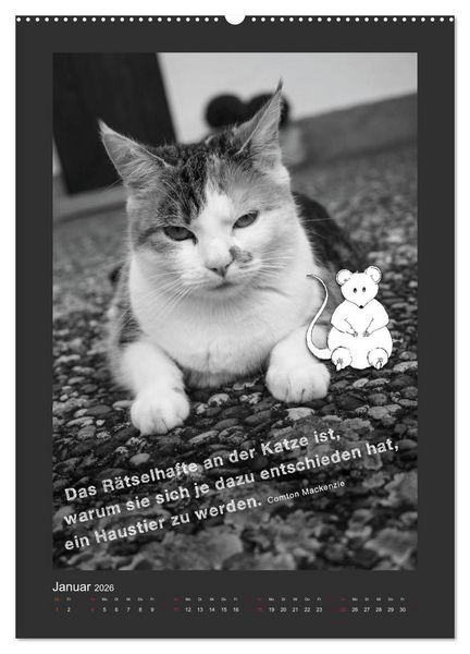 Produktbild: Katz & Maus (Wandkalender 2026 DIN A2 hoch), CALVENDO Monatskalender