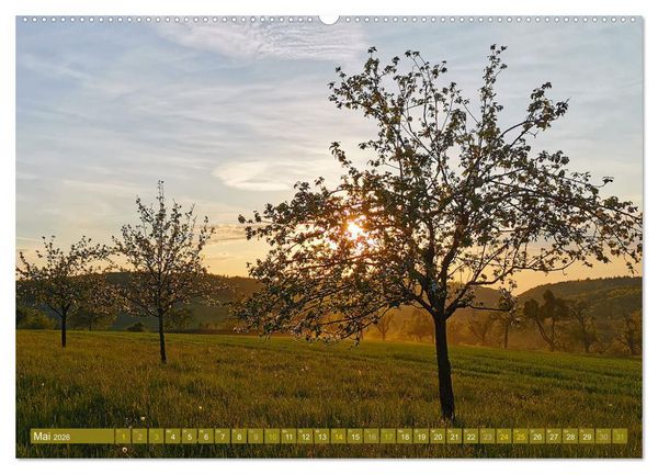 Produktbild: Apfelbaum und Streuobstwiesen (Wandkalender 2026 DIN A2 quer), CALVENDO Monatskalender