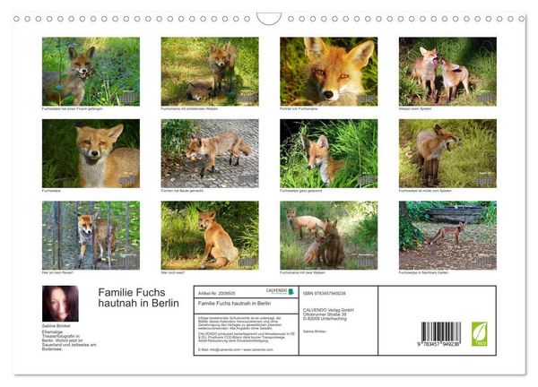 Produktbild: Familie Fuchs hautnah in Berlin (Wandkalender 2026 DIN A3 quer), CALVENDO Monatskalender