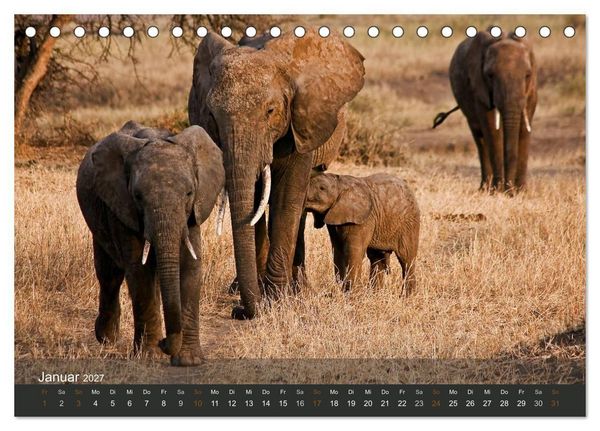 Produktbild: Elefanten (Tischkalender 2027 DIN A5 quer), CALVENDO Monatskalender