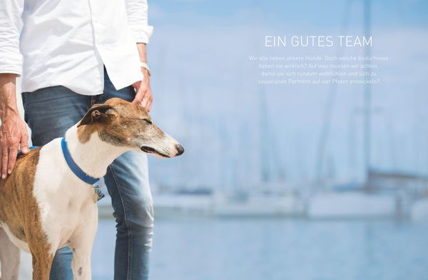 Die José-Arce-Methode: Liebe Deinen Hund. Wie Sie beim Gassigehen die Beziehung stärken