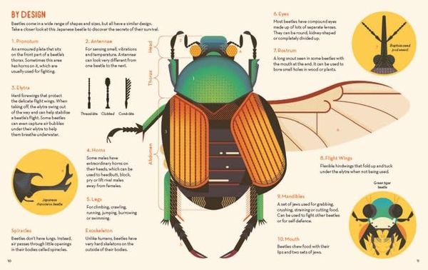 Produktbild: Bonkers About Beetles