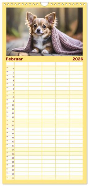Produktbild: Familienplaner 2026 - Chihuahuas - Kleine Hunde - gro&szlig;e Temperamentb&uuml;ndel mit 5 Spalten (Wandkalender, 21 x 45 cm) CALVENDO