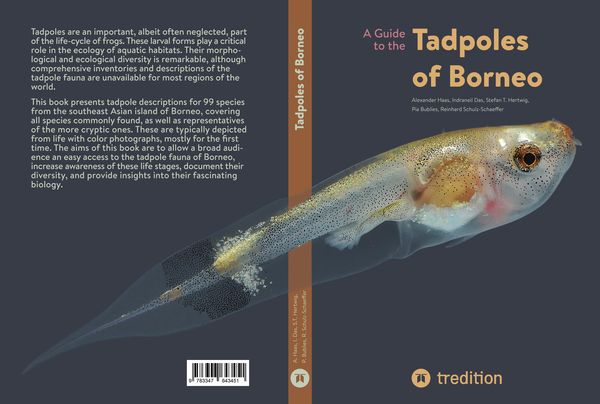 Produktbild: A Guide to the Tadpoles of Borneo