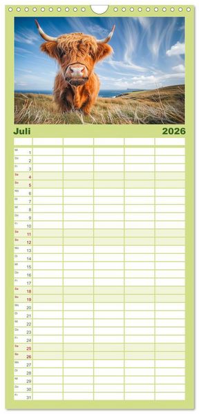 Produktbild: Familienplaner 2026 - Schottische Hochland Rinder mit 5 Spalten (Wandkalender, 21 x 45 cm) CALVENDO