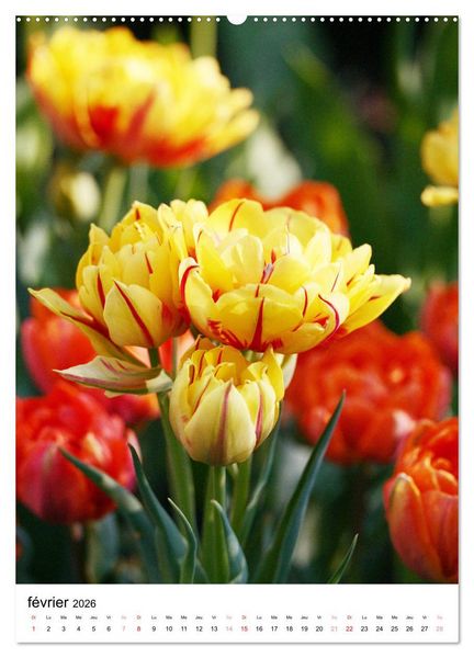 Produktbild: Joie avec des fleurs (Calendrier mural 2026 DIN A2 horizontal), CALVENDO calendrier mensuel