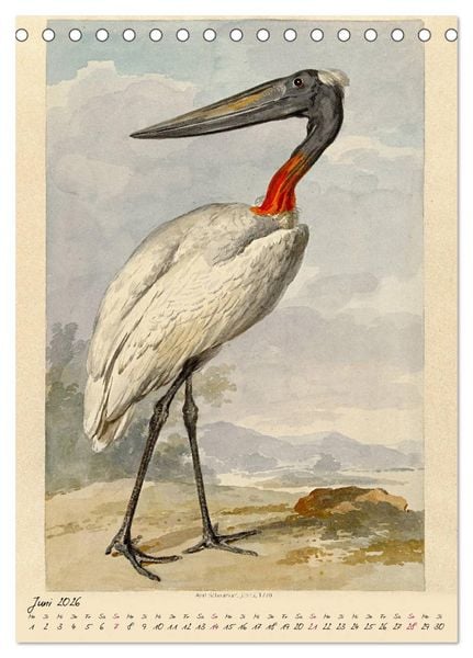 Produktbild: Aert Schouman. V&Ouml;GEL (Tischkalender 2026 DIN A5 hoch), CALVENDO Monatskalender